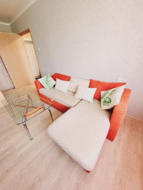 The comfortable Apartment, Tallinn